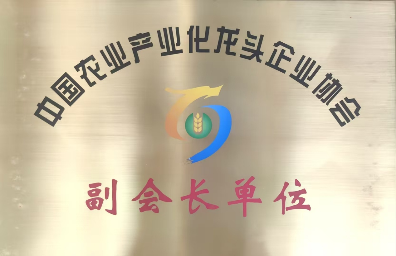 1767777455441817.png